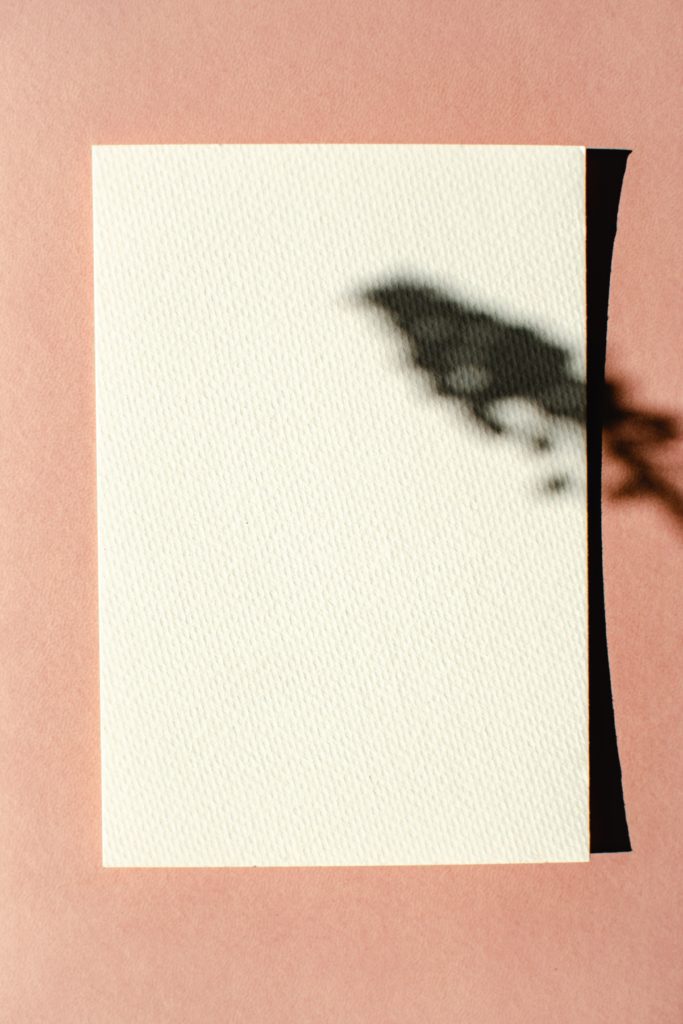 A blank white piece of paper with a rough texture displaying with a pink wallpaper with a plant casted shadow