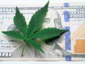Cannabis on a dollar which can be legalized properly with correct safety procedures. 