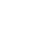 government government