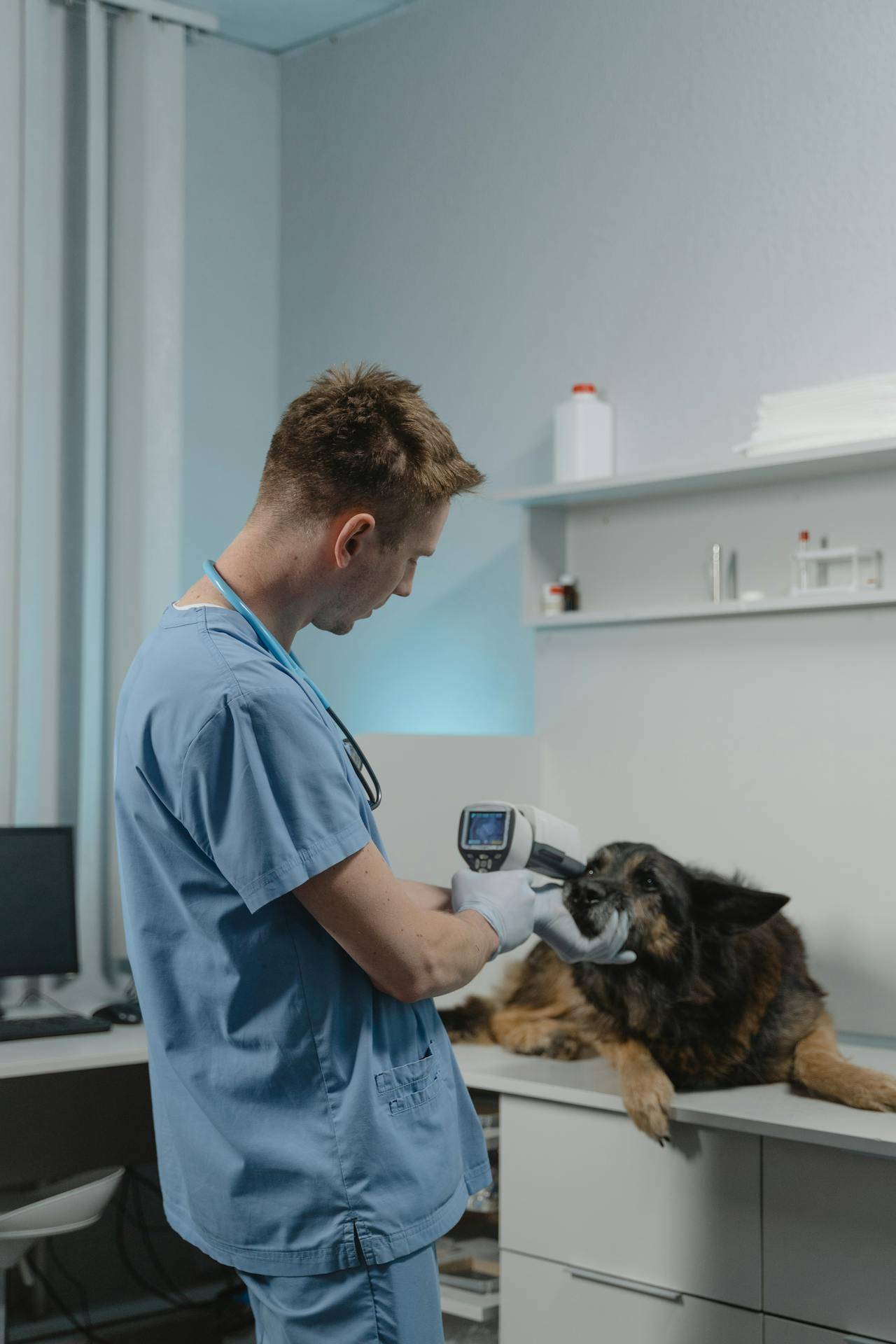 a Veterinarian Examining a Dog with a Medical Device, Representing the Importance of having a Technical Writer Develop an Operator's Manual